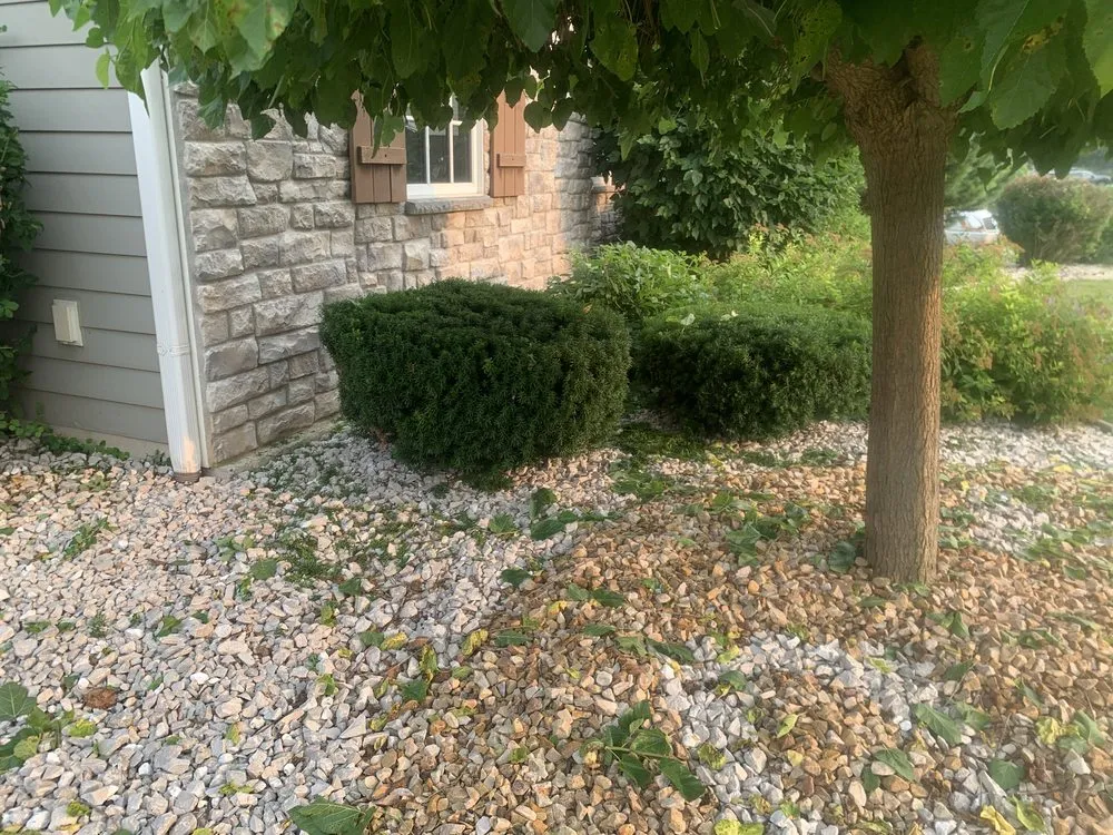 Affordable yard cleanup service near you across West Allis, WI - Aubree’s Botanical’s