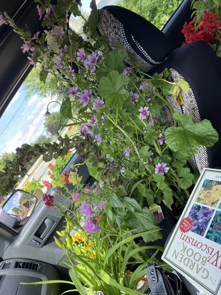 Expert landscaping services with custom design in West Allis, WI by Aubree’s Botanical’s