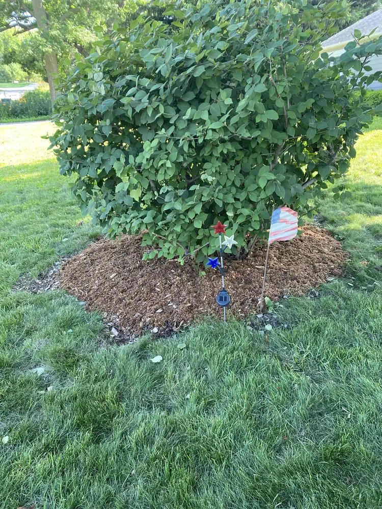 Reliable garden landscaping in West Allis, WI - Aubree’s Botanical’s