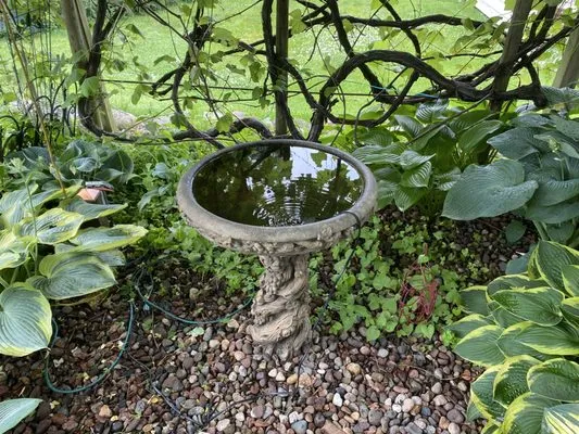 Aubree’s Botanical’s