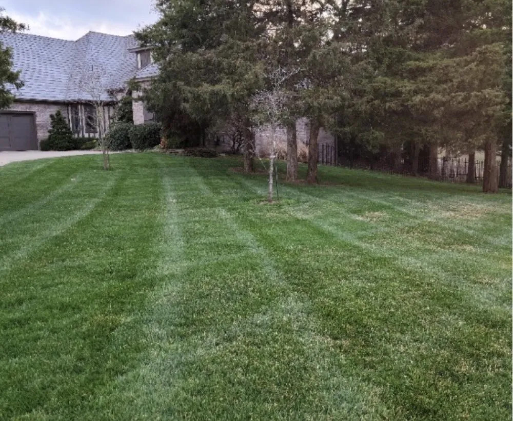 Affordable lawn care service experts serving Raytown, MO - Aubrey Hills