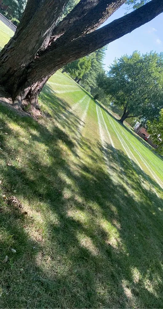 Expert landscaping services near you across Raytown, MO - Aubrey Hills