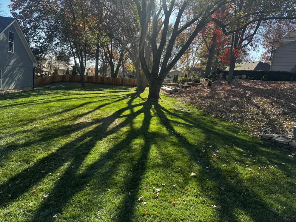 Custom residential landscaping with custom design in Raytown, MO by Aubrey Hills