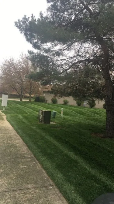 Trusted lawn care service in Raytown, MO - Aubrey Hills