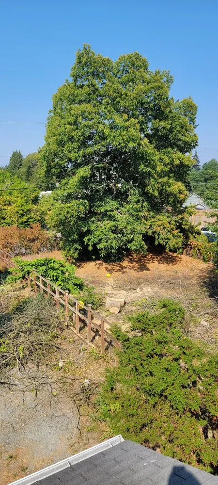 Expert yard cleanup service experts serving Auburn, WA - Auburn Green Landscaping