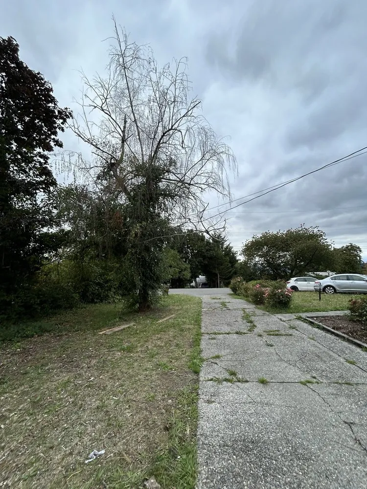 Professional yard cleanup service for homes across Auburn, WA - Auburn Green Landscaping