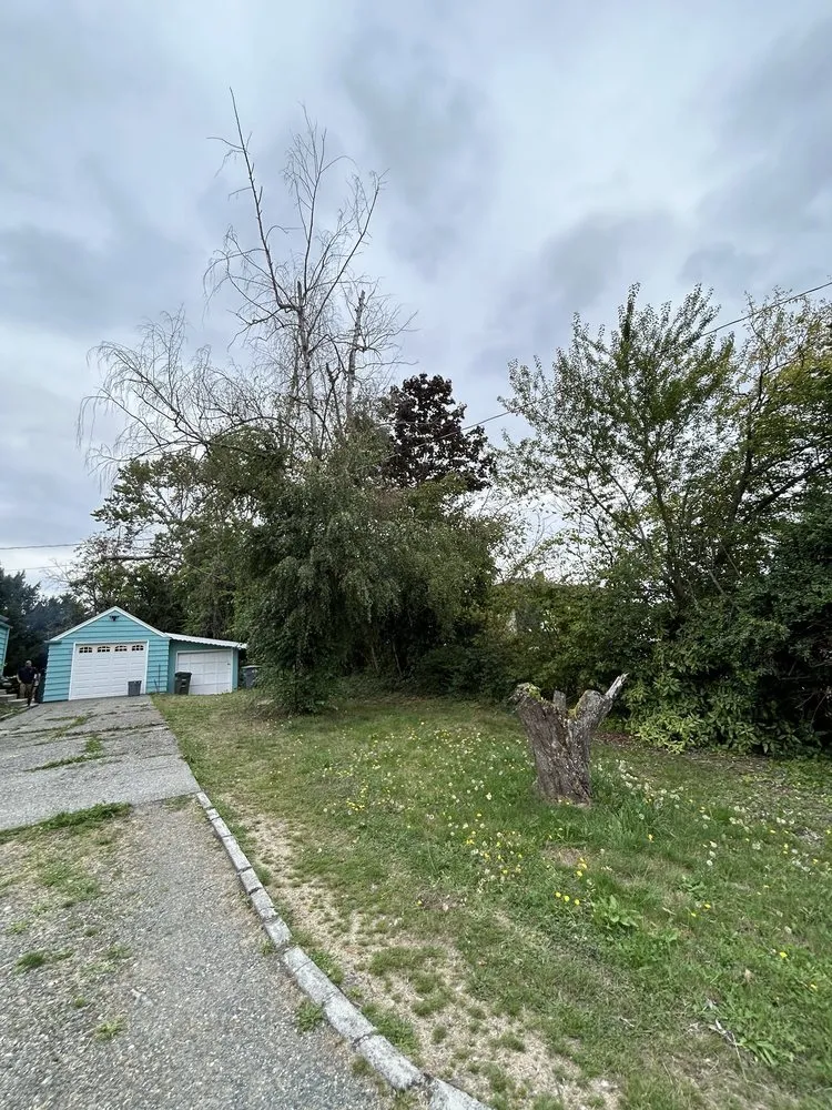 Local yard cleanup service with custom design in Auburn, WA by Auburn Green Landscaping