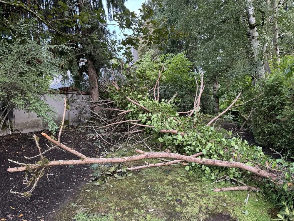 Reliable landscaping services in Auburn, WA by Auburn Green Landscaping