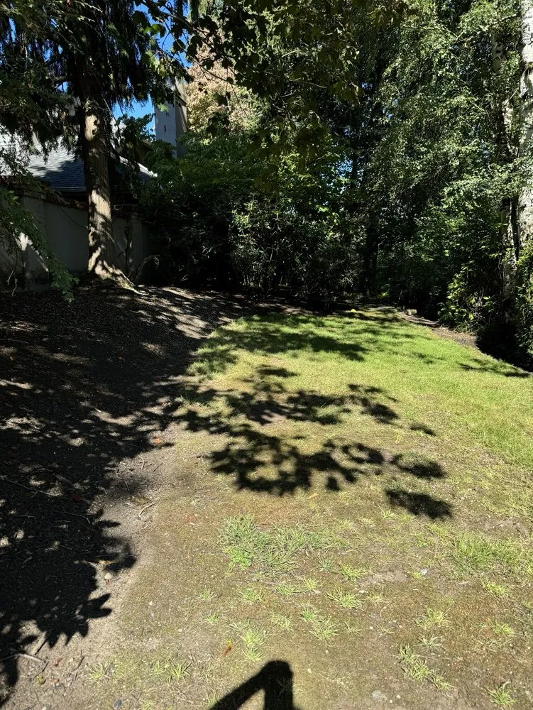 Local lawn care service near you across Auburn, WA - Auburn Green Landscaping