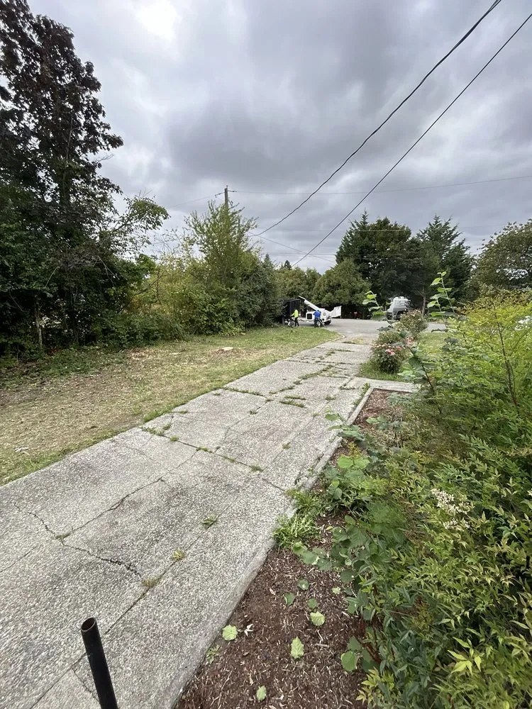 Top-rated lawn care service in Auburn, WA by Auburn Green Landscaping