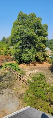 Auburn Green Landscaping