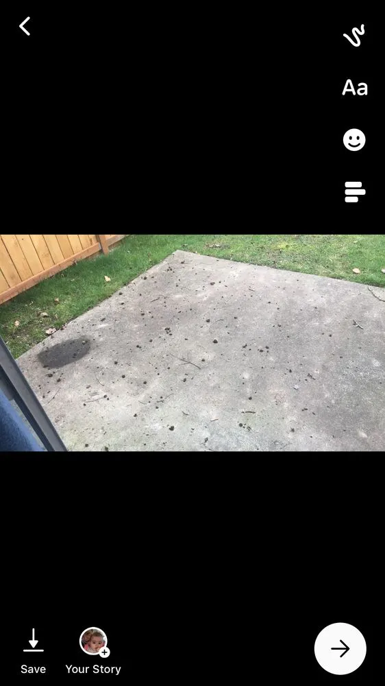 Reliable landscaping services experts serving Auburn, WA - Auburn Landscaping