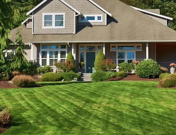 Top-rated yard maintenance experts serving Auburn, AL - Auburn Landscaping Pros