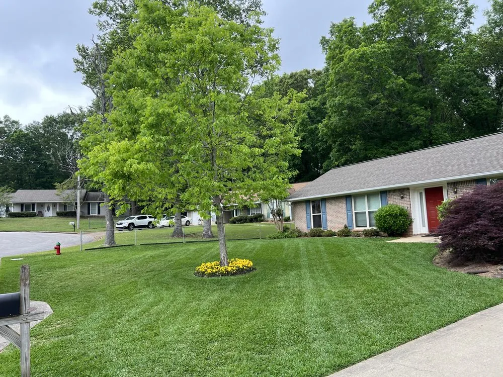 Professional outdoor landscaping for year-round maintenance in Auburn, AL by Auburn Lawn Care