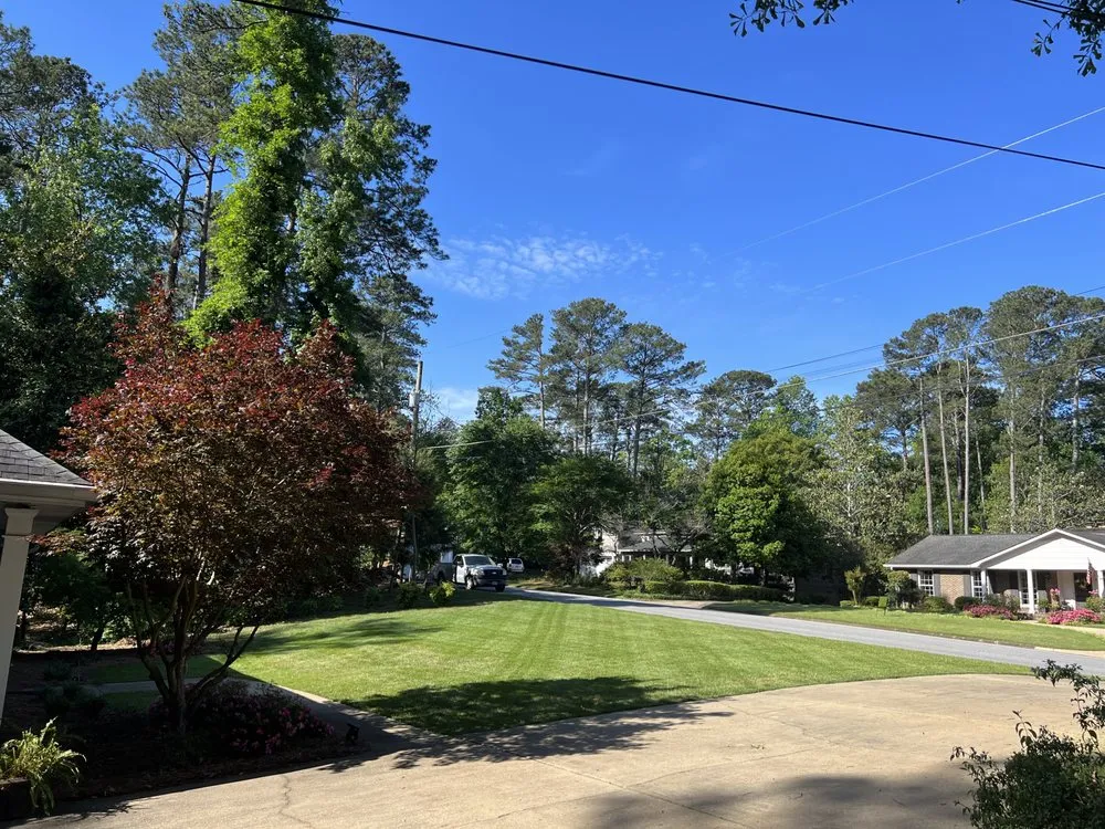 Professional lawn care service experts serving Auburn, AL - Auburn Lawn Care