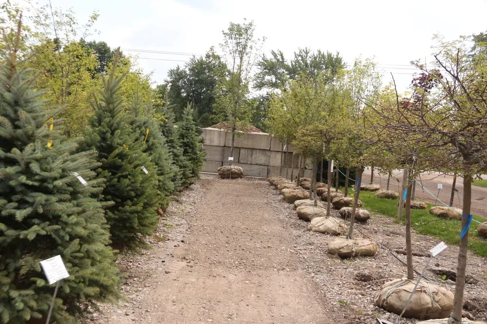 Trusted lawn mowing service in Rochester Hills, MI - Auburn Oaks Nursery