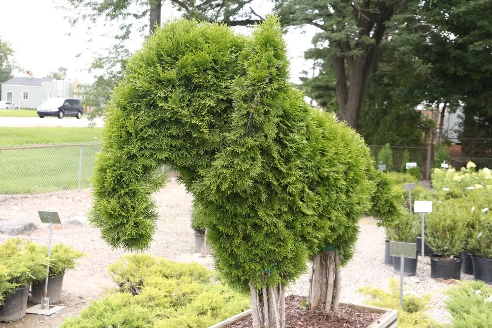 Affordable landscape installation near you across Rochester Hills, MI - Auburn Oaks Nursery