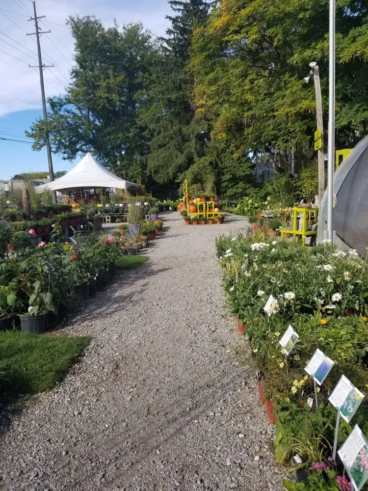 Affordable yard maintenance for beautiful yards in Rochester Hills, MI by Auburn Oaks Nursery