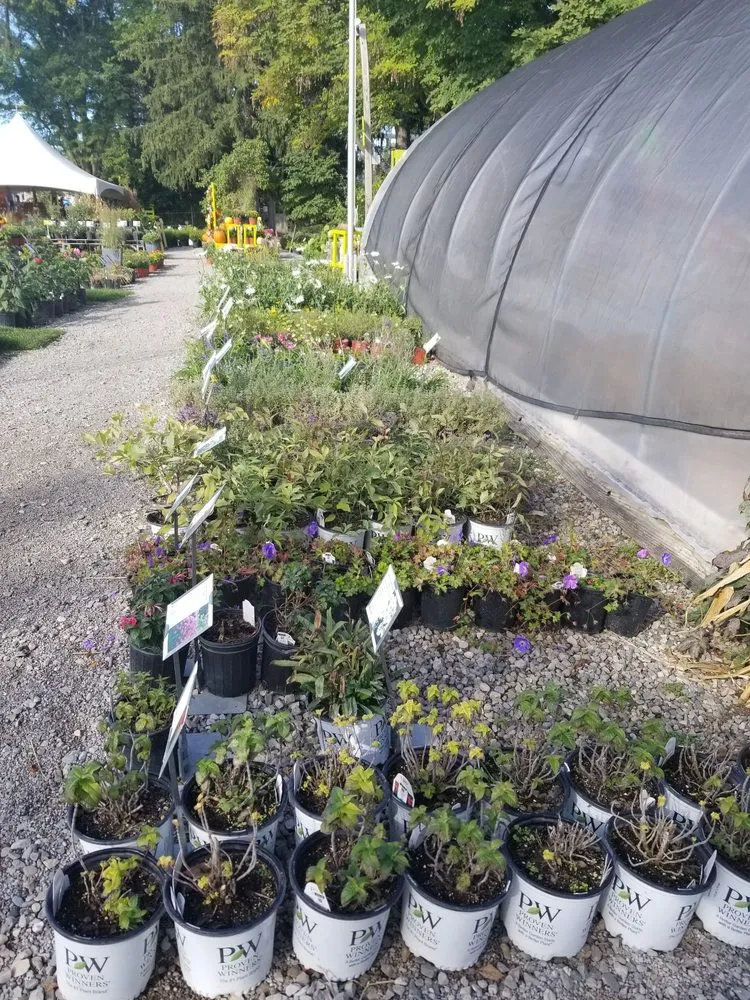 Custom lawn mowing service experts serving Rochester Hills, MI - Auburn Oaks Nursery