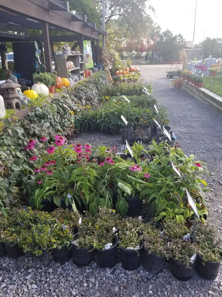 Top-rated lawn care service for year-round maintenance in Rochester Hills, MI by Auburn Oaks Nursery