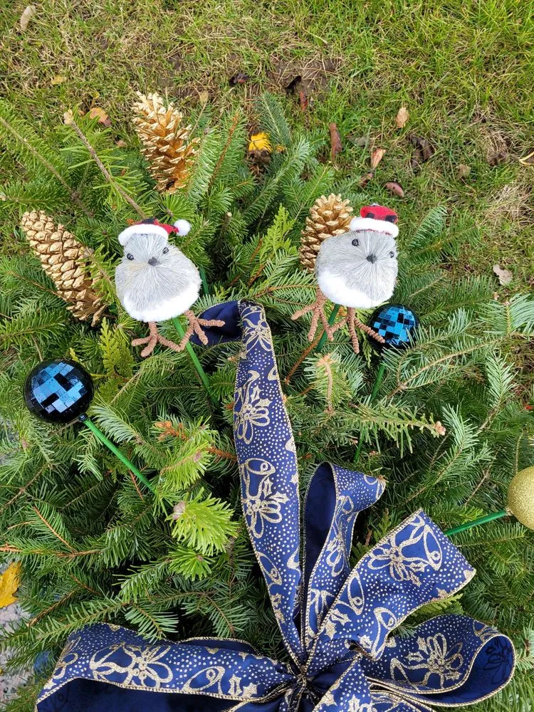 Local garden landscaping in Rochester Hills, MI - Auburn Oaks Nursery