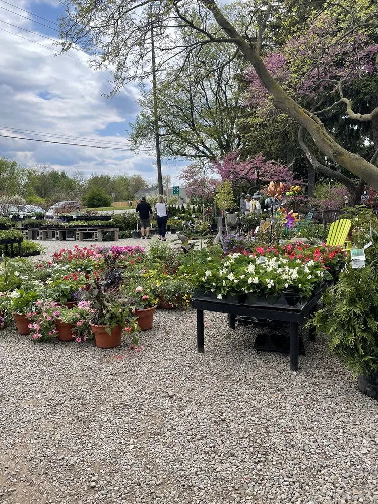 Trusted yard maintenance in Rochester Hills, MI - Auburn Oaks Nursery