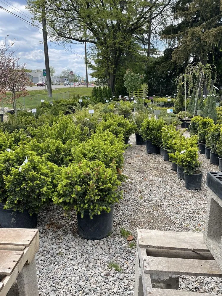 Expert yard cleanup service near you in Rochester Hills, MI by Auburn Oaks Nursery