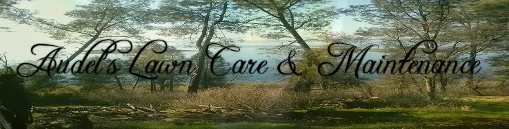 Reliable yard maintenance in Roseville, CA - Audels Lawn Care & Maintanence