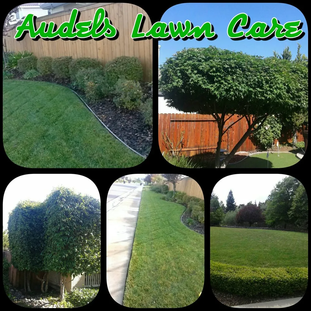 Affordable landscape installation in Roseville, CA - Audels Lawn Care & Maintanence