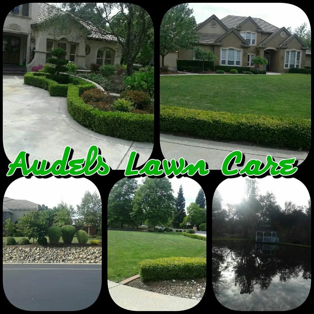 Trusted yard maintenance in Roseville, CA by Audels Lawn Care & Maintanence
