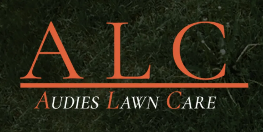 Top-rated outdoor landscaping in Ridgway, IL - Audies Lawn Care