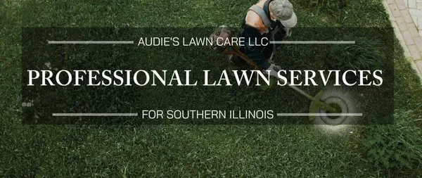Audies Lawn Care