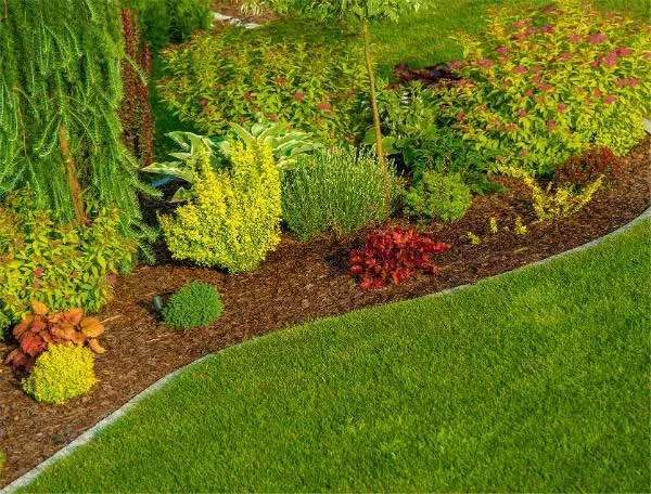 Trusted garden landscaping near you in Kissimmee, FL by Audrey & Alvaro Martinez Landscape