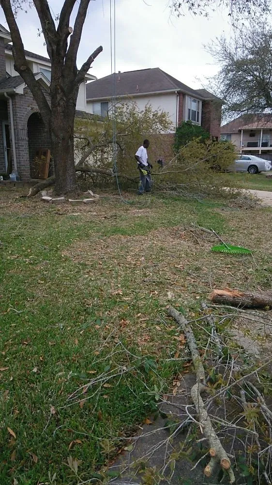 Top-rated landscape installation for residential properties across Missouri City, TX - Audrey's Landscaping & Tree Services