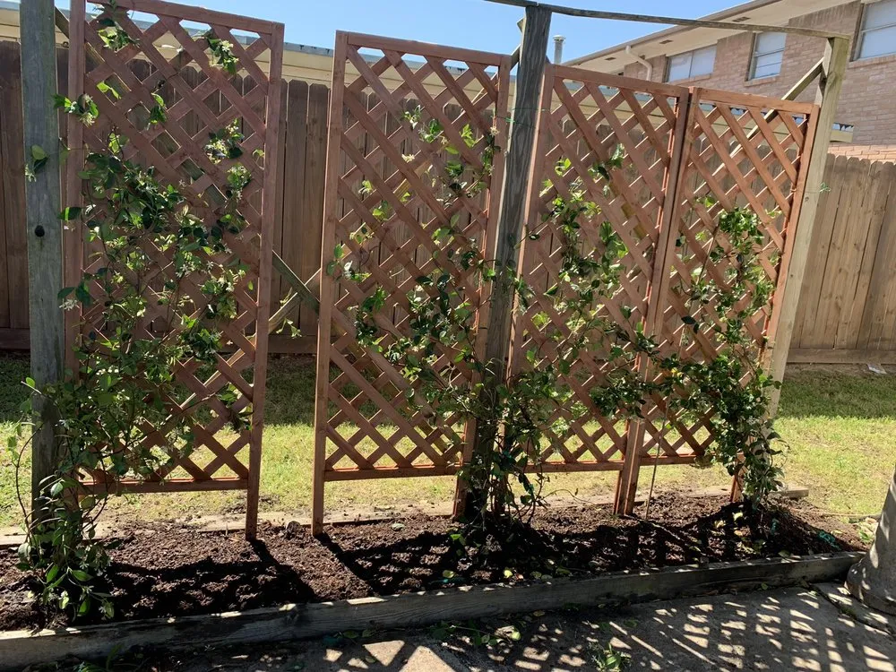 Reliable landscape design in Missouri City, TX by Audrey's Landscaping & Tree Services