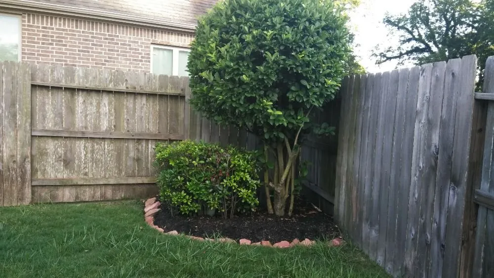 Affordable landscape design for homes in Missouri City, TX by Audrey's Landscaping & Tree Services