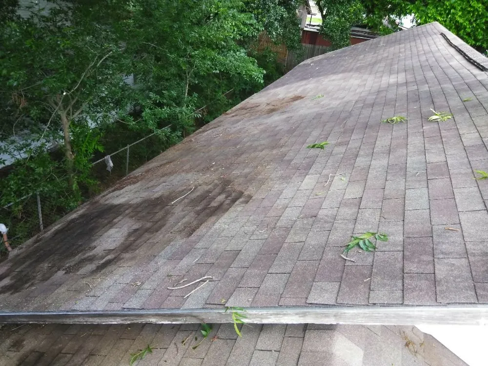 Expert yard maintenance experts serving Missouri City, TX - Audrey's Landscaping & Tree Services