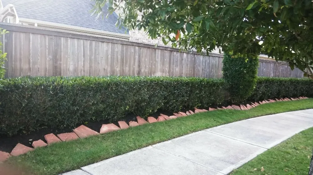 Top-rated yard cleanup service with custom design in Missouri City, TX by Audrey's Landscaping & Tree Services