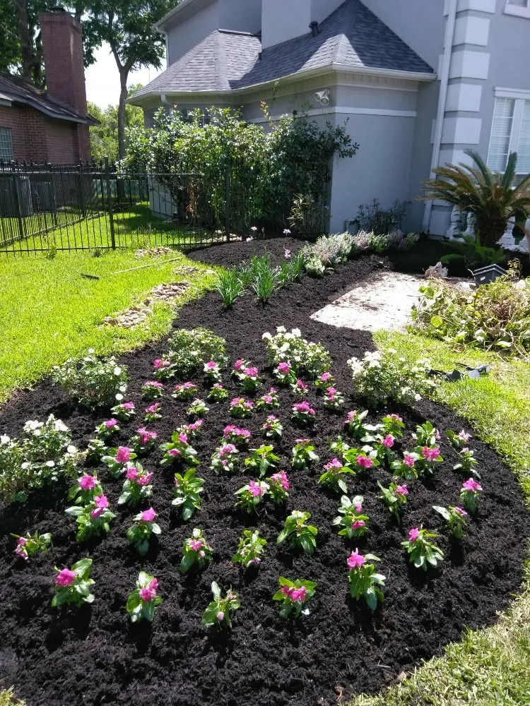 Reliable residential landscaping in Missouri City, TX - Audrey's Landscaping & Tree Services