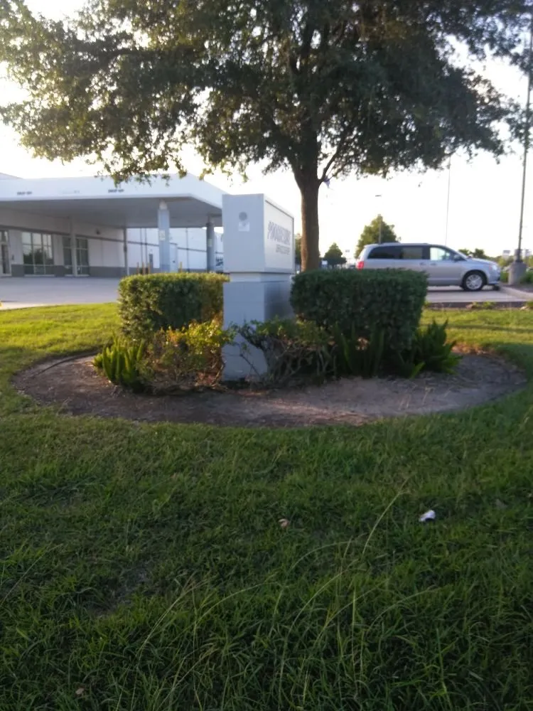 Professional lawn care service for year-round maintenance across Missouri City, TX - Audrey's Landscaping & Tree Services