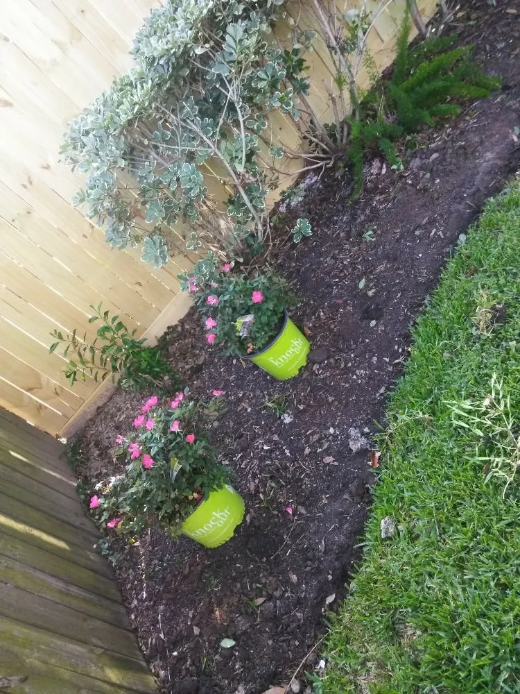 Expert landscaping services with custom design in Missouri City, TX by Audrey's Landscaping & Tree Services