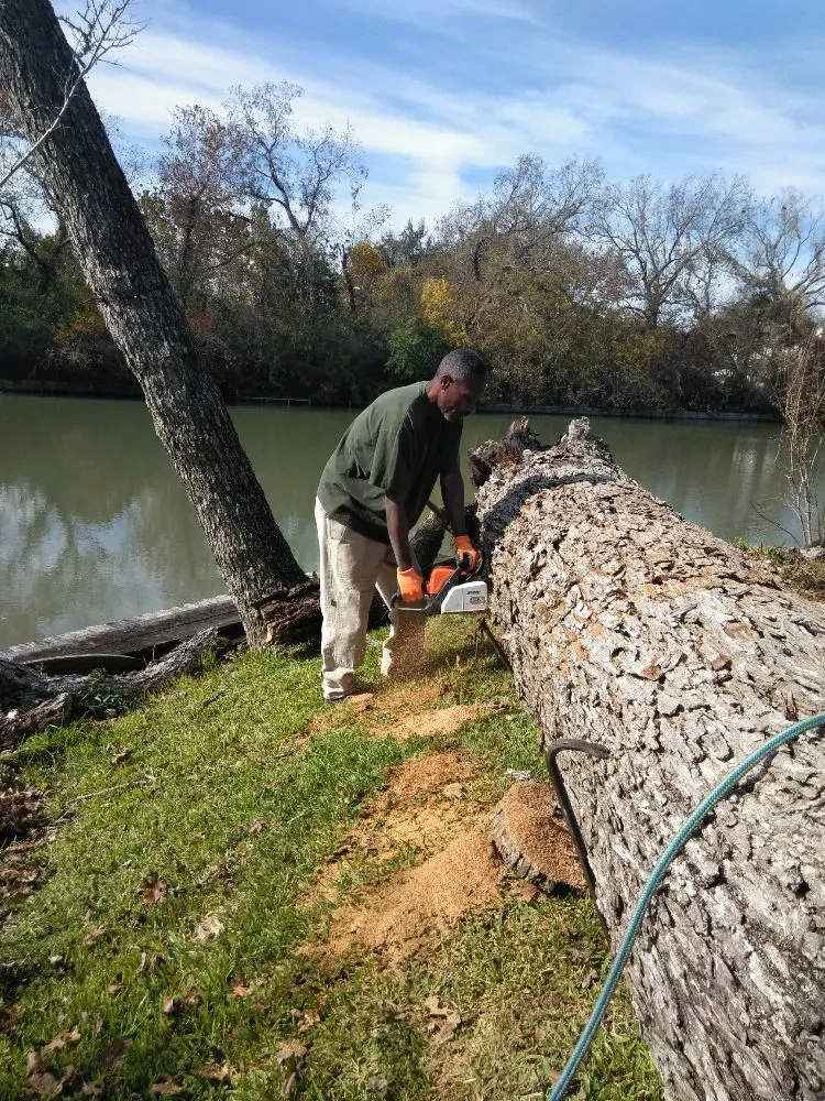 Affordable garden landscaping experts serving Missouri City, TX - Audrey's Landscaping & Tree Services