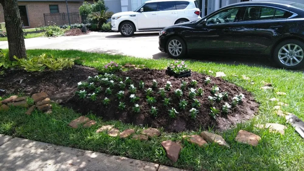 Local landscape design in Missouri City, TX by Audrey's Landscaping & Tree Services