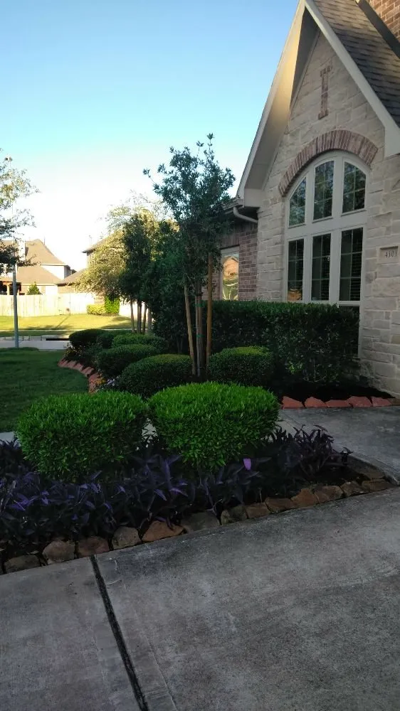 Custom garden landscaping for outdoor upgrades in Missouri City, TX by Audrey's Landscaping & Tree Services