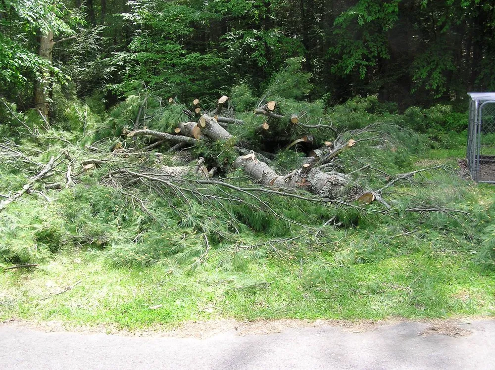 Reliable garden landscaping experts serving Hampstead, NH - Auger Property Maintenance