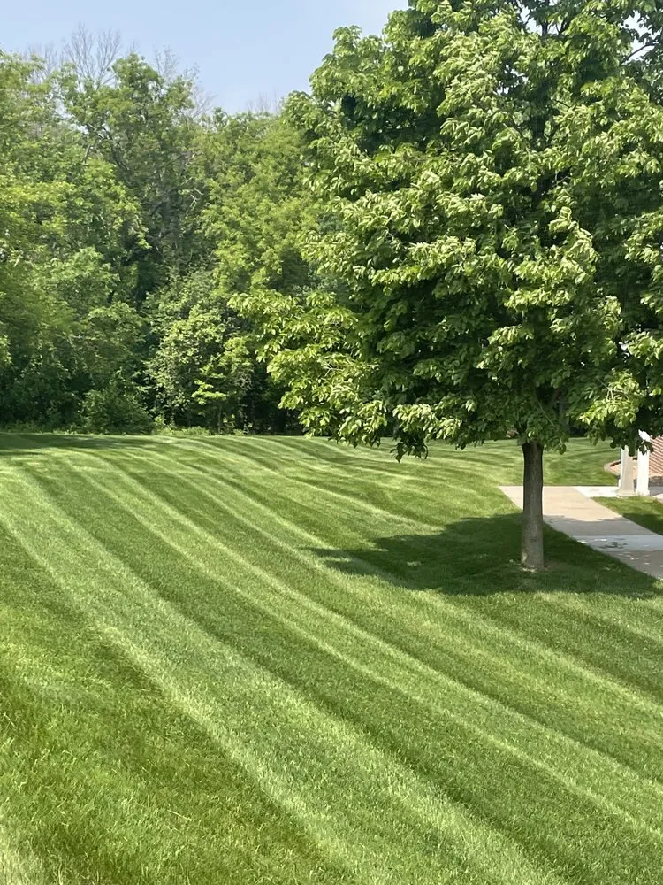 Custom yard maintenance in Red Wing, MN by Auggies Snow N Lawn