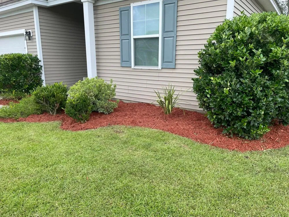 Affordable landscape installation in North Charleston, SC by Augment Landscaping