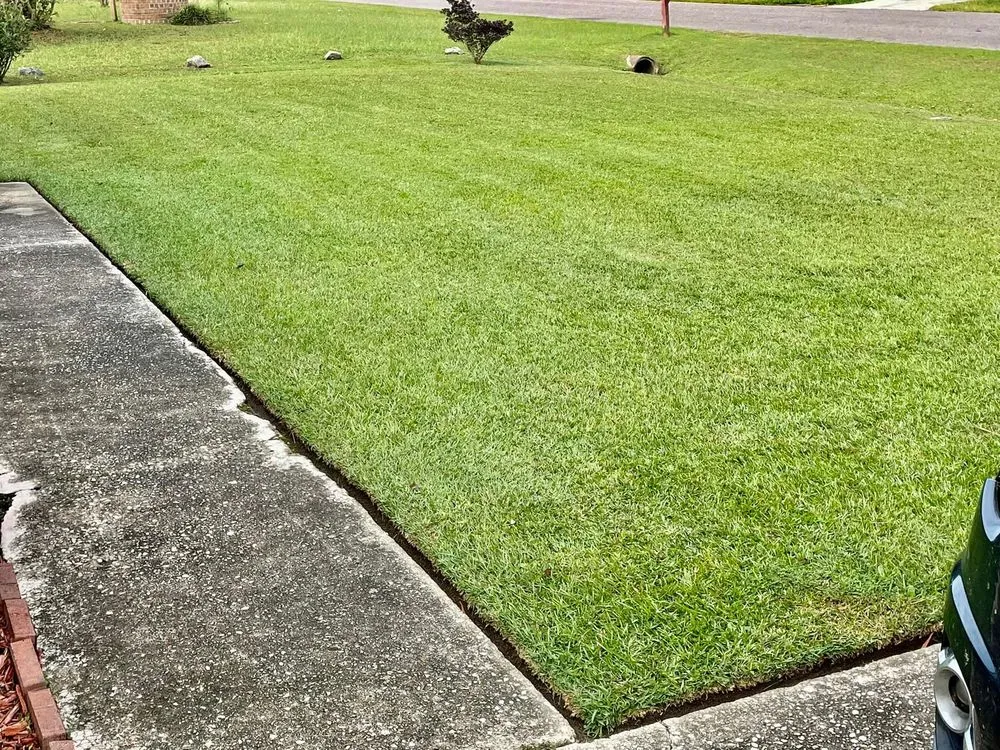 Custom outdoor landscaping in North Charleston, SC by Augment Landscaping