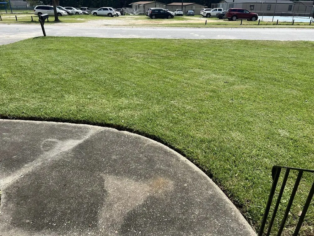 Trusted outdoor landscaping for beautiful yards in North Charleston, SC by Augment Landscaping