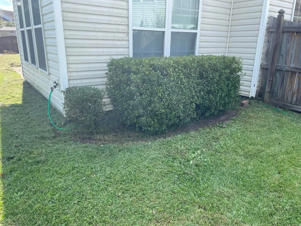 Local residential landscaping experts serving North Charleston, SC - Augment Landscaping